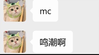 当MC不再代表我的世界......