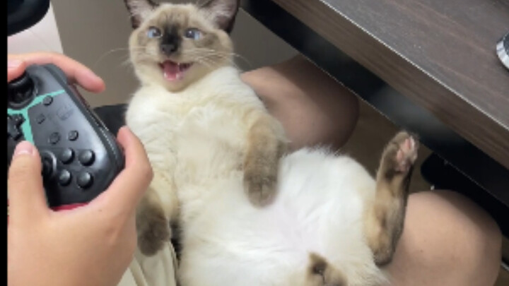 A “dad mom” raising a kid...