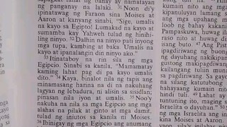 Pang Araw Araw na Talata.               Exodus 12:31-34