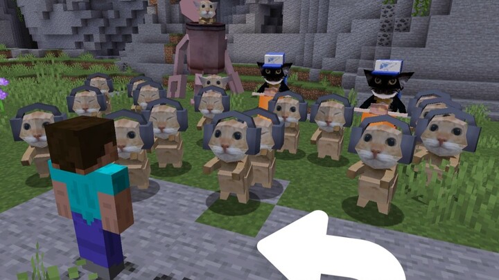 When Amigatito the cat is added to the MC server (Player: I'll pee in your nostrils 🐱)