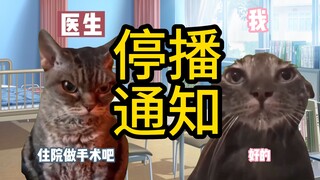 【猫meme】关于我常熬夜饮食不规律不爱喝水不爱去厕所最后生病了的故事