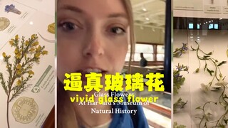 超逼真玻璃花，父子耗时50年🌹🌼💐