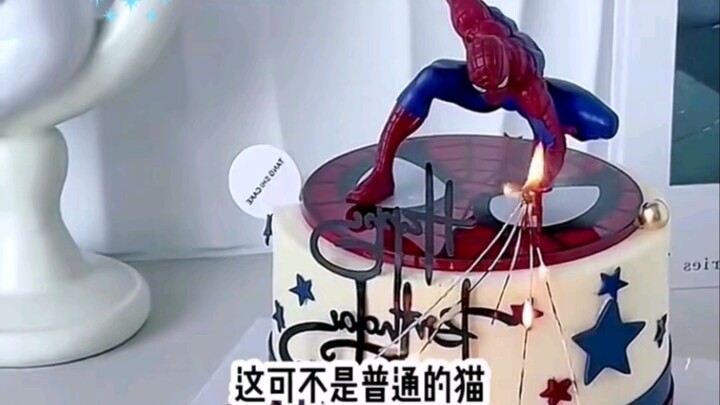 Blue-Green Cat Oddity