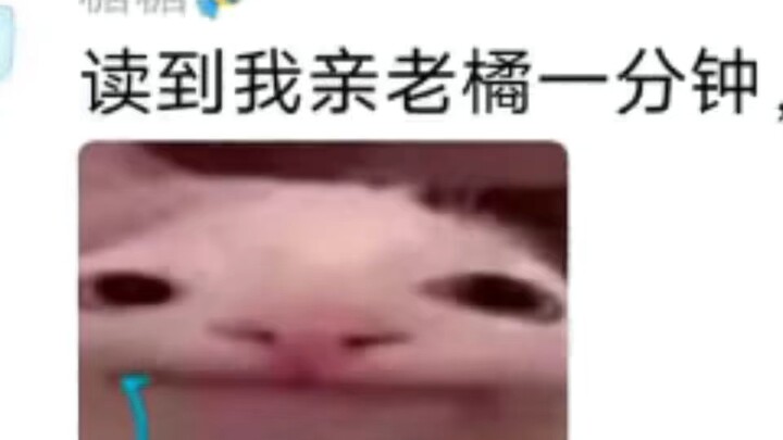 【Ks Kucing Susu Bukan Sampah】Sudah diupdate, buruan intip!