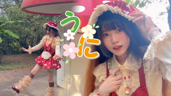 أوني*⁂قنفذ البحر لكن الفطر