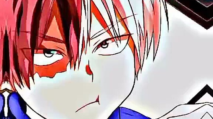 todoroki [sna]