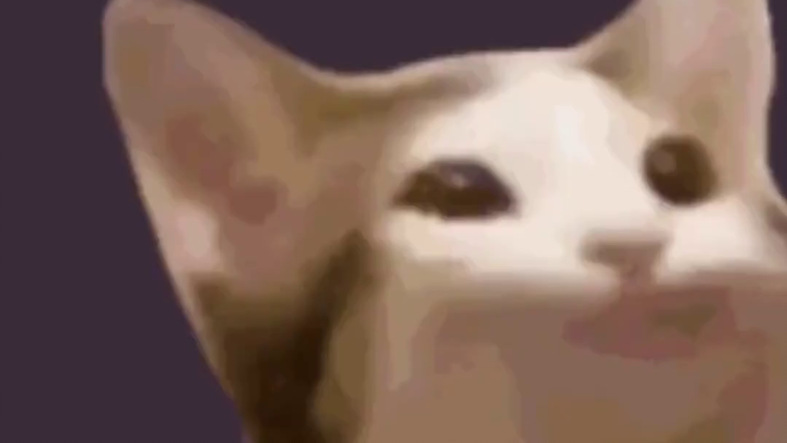 Chim én cũng có thế hệ Z của riêng mình: Câu chuyện gia đình chim én hài hước