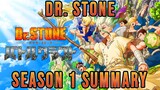 Dr. STONE Season 1 Summary