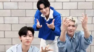 【เซียวจวิ้น】เซียวจวิ้น 2.0 ที่กล้าทำชาเลนจ์อย่างเปิดเผย