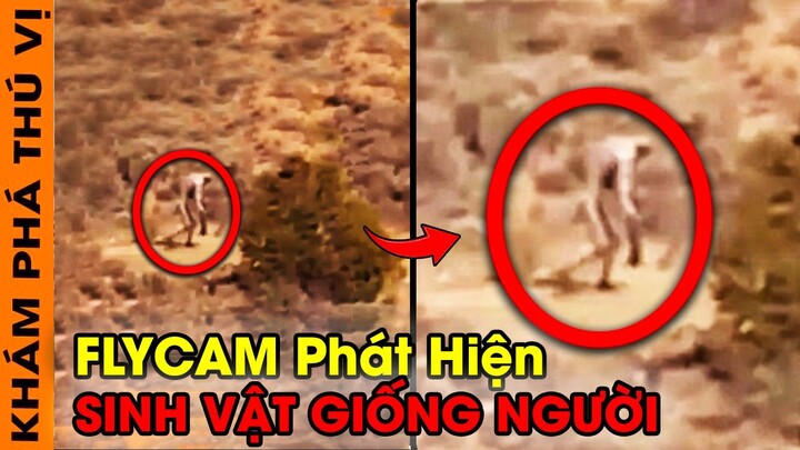 🔥 Máy Bay Không Người Lái Vô Tình Quay Được 10 Sinh Vật Kỳ Lạ Và Bí Ẩn Mà Bạn Không Bao Giờ Muốn Gặp