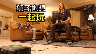 那些让人心情愉悦的动物视频！