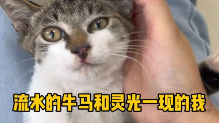 Người làm lụng vất vả thay đổi liên tục, còn tôi thì chỉ có phút giây bừng ngộ thoáng qua