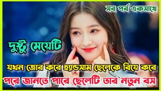 হ্যান্ডসাম ছেলেটিকে দুষ্টু মেয়েটি যখন বিয়ে করে নেয় Romantic chinese drama bangla explanation
