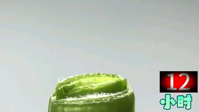 Leeks That Don't Grow Malice