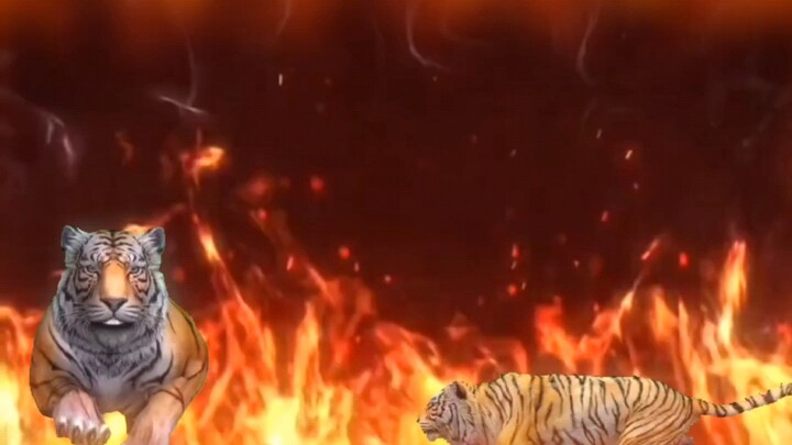 Urgent announcement across the entire internet!!!