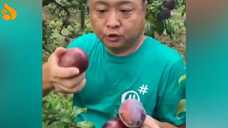 Mở mắt ra và nói dối