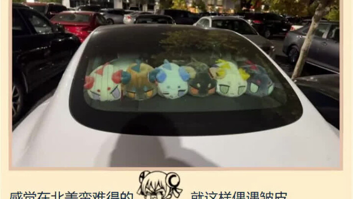 [明日方舟] 发现旁边的车放了一排龙泡泡