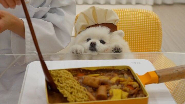 เตรียมเต้าเจี้ยวหนิวเกาแสนอร่อยให้น้องหมา พวกคุณก็ทำตามได้เลยนะ!