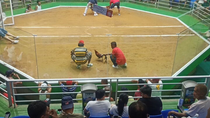 Coliseo de Leganes 3