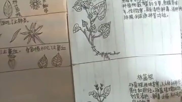 Son didn't do well on the exam; father checked his schoolbag and unexpectedly found a hand-drawn her