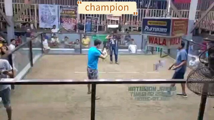 secondfyt win champion