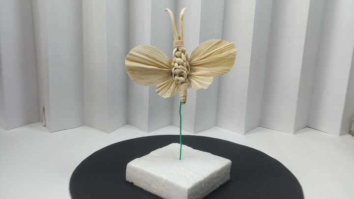 This Corn Husk Butterfly Will Surprise You 🦋