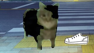 【Cat meme】When you say to your mother "Why are you getting shorter?"