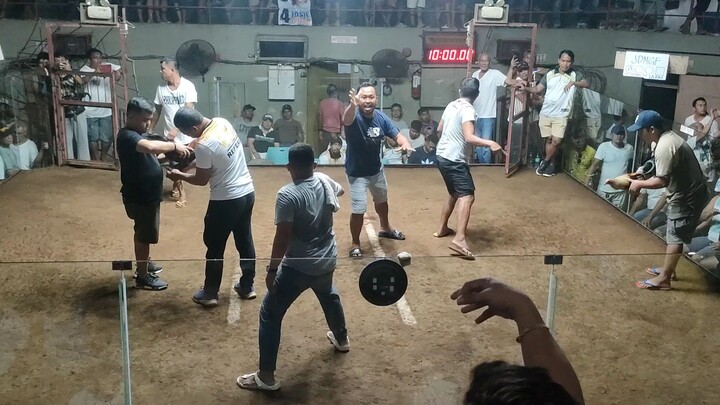 Mclean Grey - Bullstag - Win against Vice Mayor of Mayorga