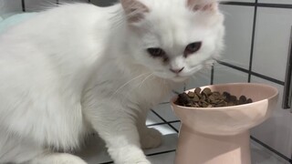 Bạn sẽ quay lại với nó, phải không?