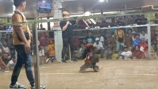 win at tinurik arena