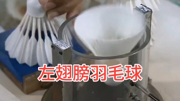 左翅膀羽毛球，你不知道吧