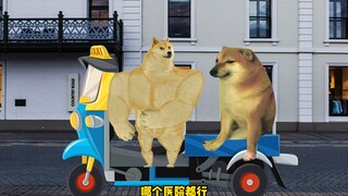 cheems 赚你几块钱，提心吊胆的