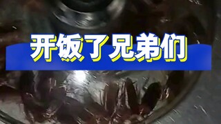 感谢大自然的馈赠