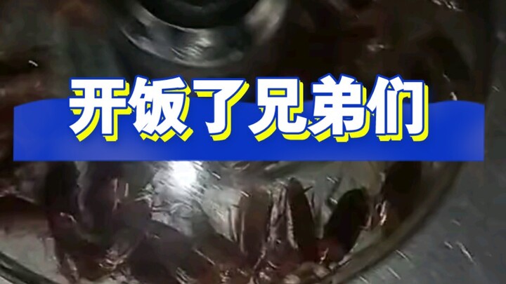 感谢大自然的馈赠