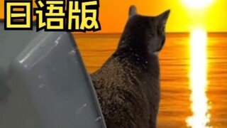 Kucing Lucu Super Tak Terkalahkan!!! (Edisi Jepang)