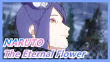 [NARUTO] "I Hope You Can Become The Eternal Flower Of Hope This Time"