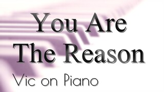 You Are The Reason (Calum Scott)