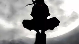 assassin and shadow