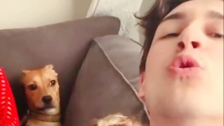 The dog imitated its owner and the situation got out of control!