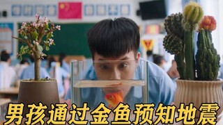 ปลาทองทำท่าทางแปลกๆ เมื่อเด็กเรียนอ่อนสังเกตดูอย่างละเอียด ก็รีบตัดสินทันทีว่าเกิดแผ่นดินไหวแล้ว!