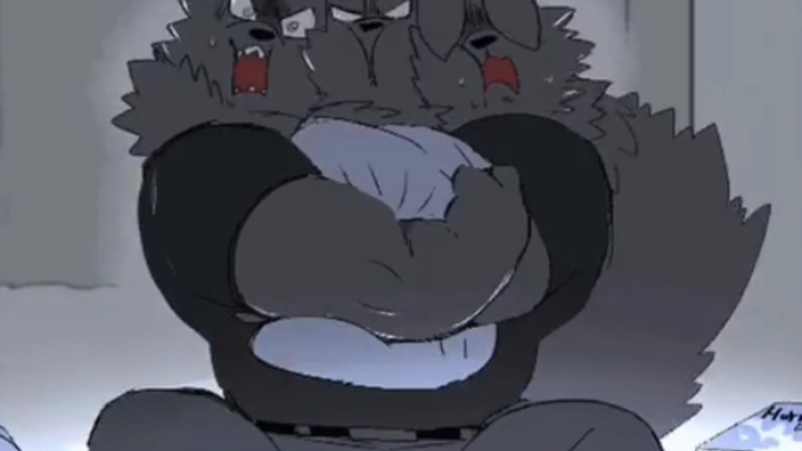 Serigala berkepala tiga yang lucu