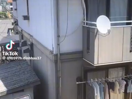 Japan has a comfortable living environment, filled with birdsong, blooming flowers, and the sweet vo