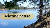 Relaxing sounds and views of nature. Water, birds