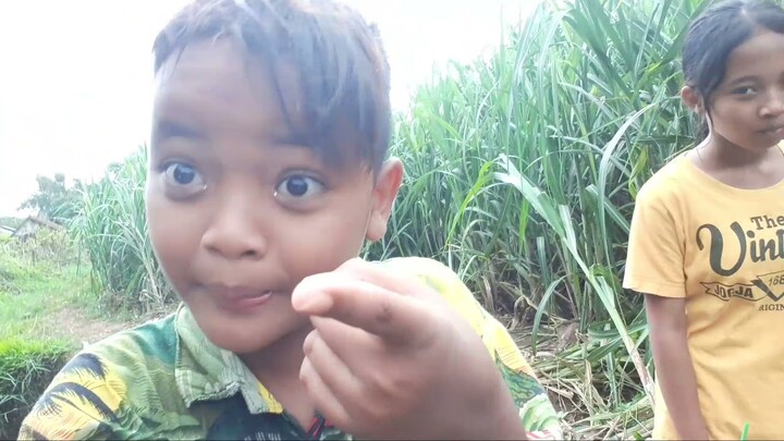 BOCIL BELAJAR NGEVLOG || BANYAK ORANG NGUSUNG SUKET