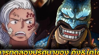 วันพีช การทดลองปริศนาของ คิง&ไคโด !