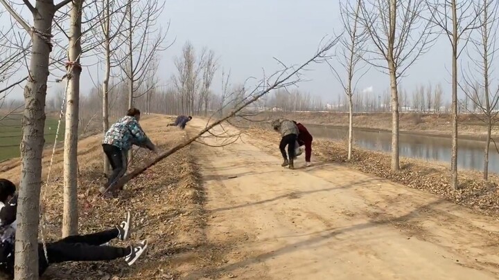 "Ngọa Long Phượng Sồ cùng tụ hội đầu làng"