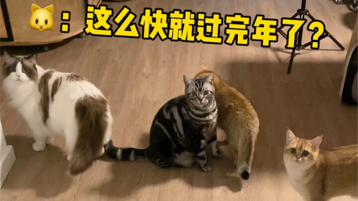 Tidak ada yang bisa menghentikan tekadku untuk pulang kampung merayakan Tahun Baru Imlek!!