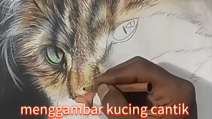 menggambar kucing cantik menggunakan pensil warna