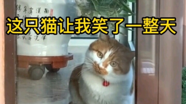 “ทุกอย่างล้วนให้ความสำคัญกับส้มใหญ่เป็นอันดับแรก”