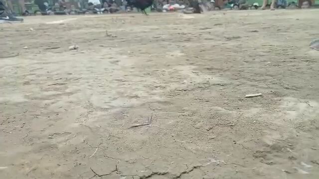 hindi nakasa parada ng kalaban 😎